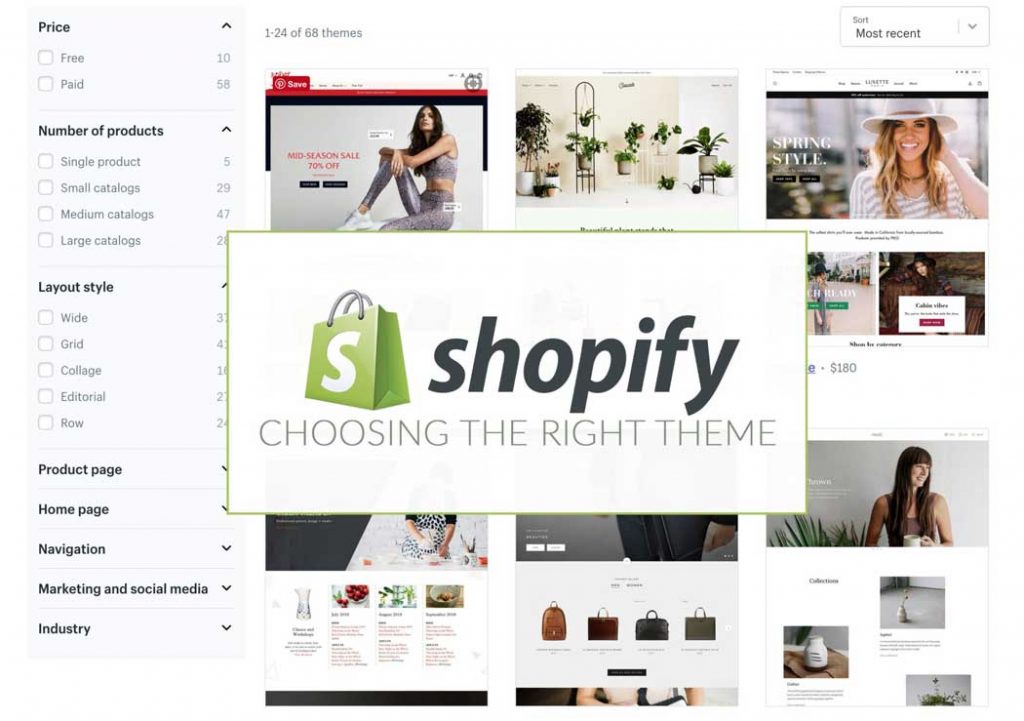 Shopify website and store